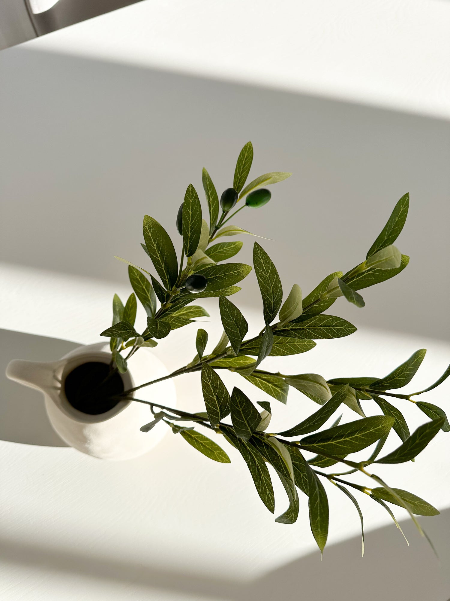 Olive Branches in White Vase on a White dining table in morning sunlight taken from top angle