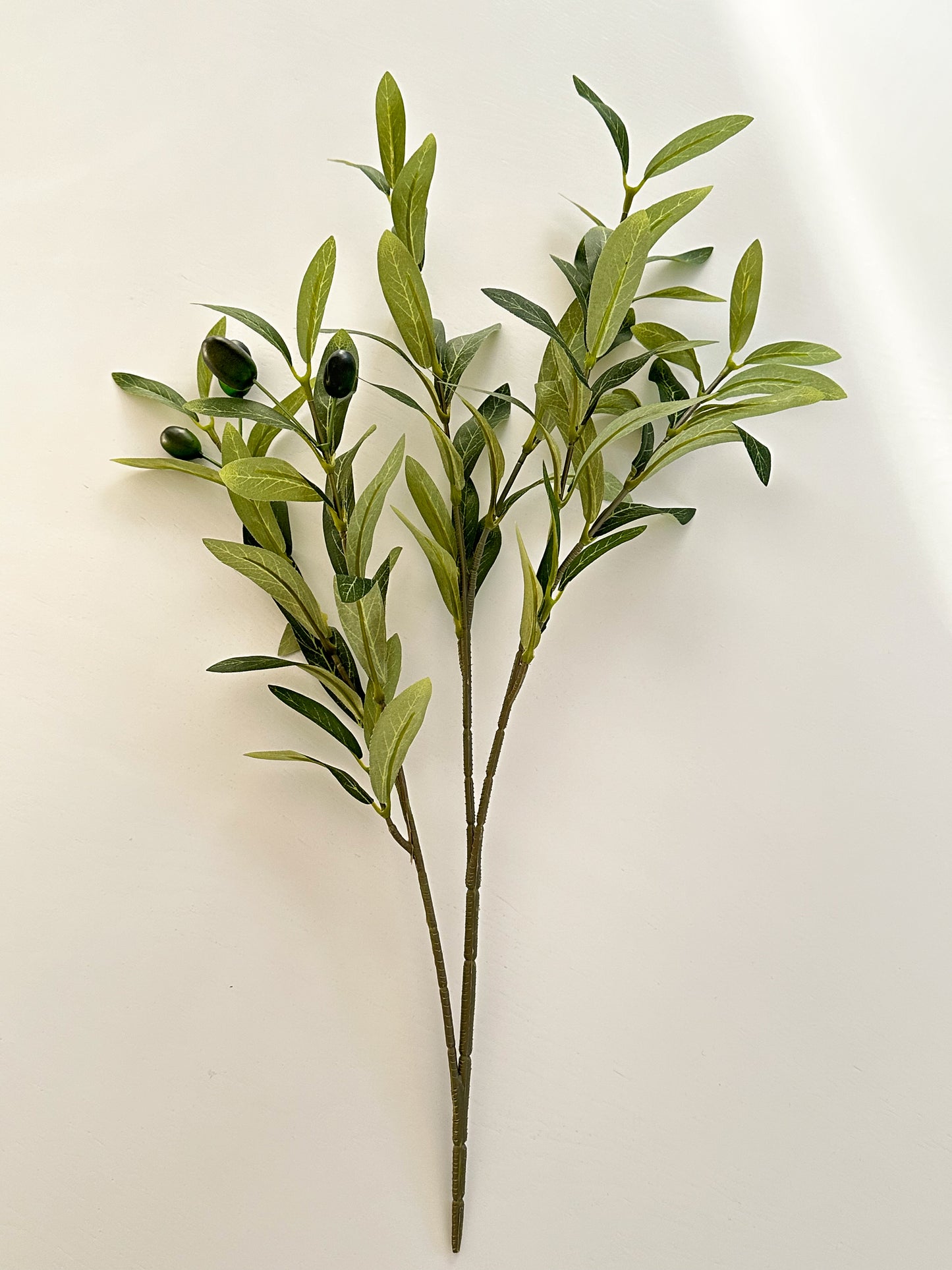 Olive Branches - Set of 2 or 4 (Free Shipping)