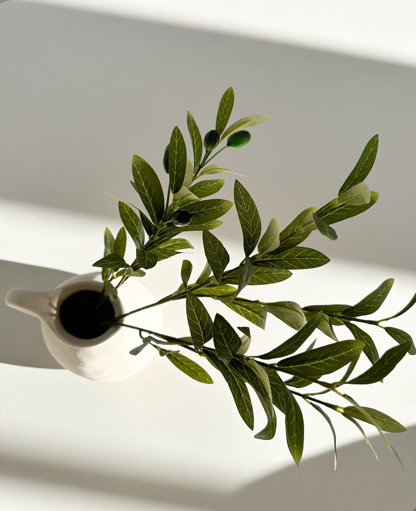 Top view of olive branches in white vase with olives on it. Minimalistic and modern home decor. 