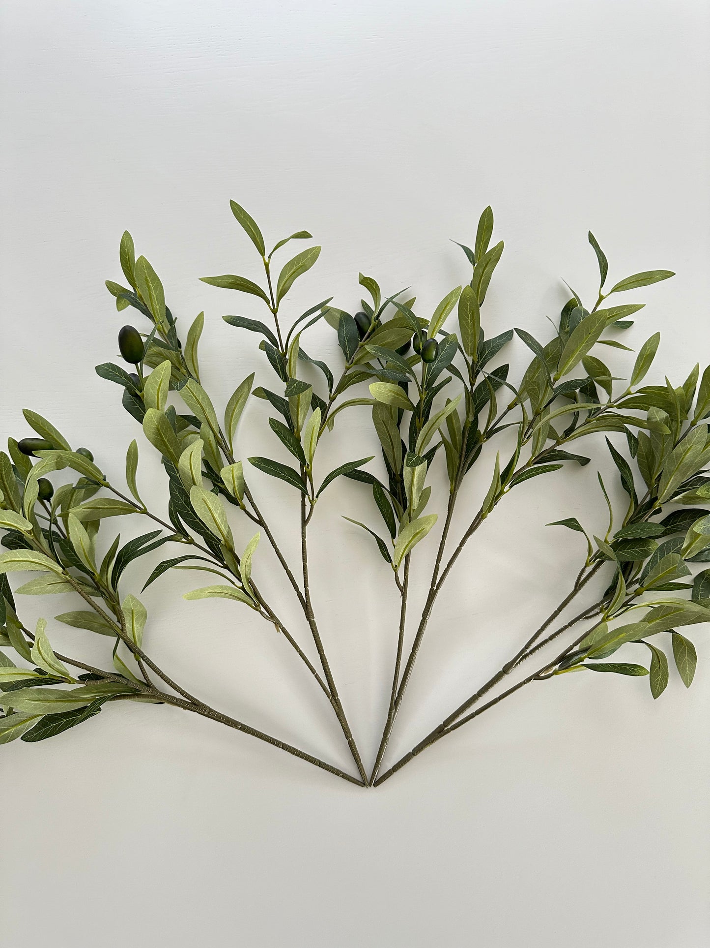 Olive Branches - Set of 2 or 4 (Free Shipping)