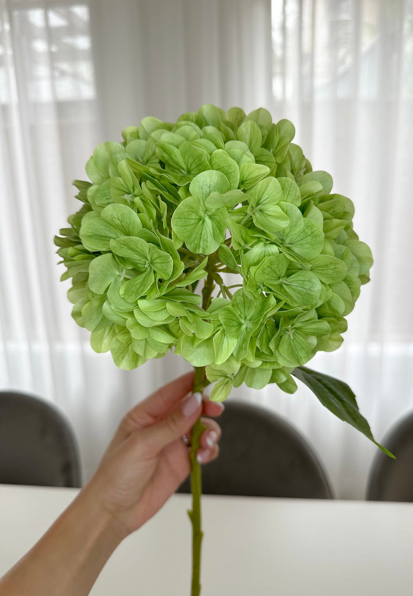 Green Real Touch hydrangea stem singular held by single hand